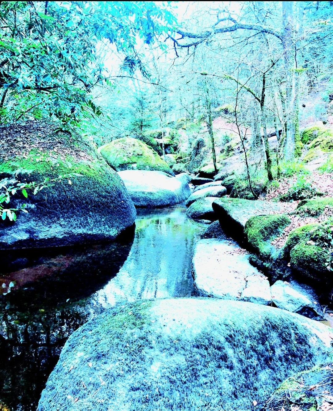 Dans les bras de la nature