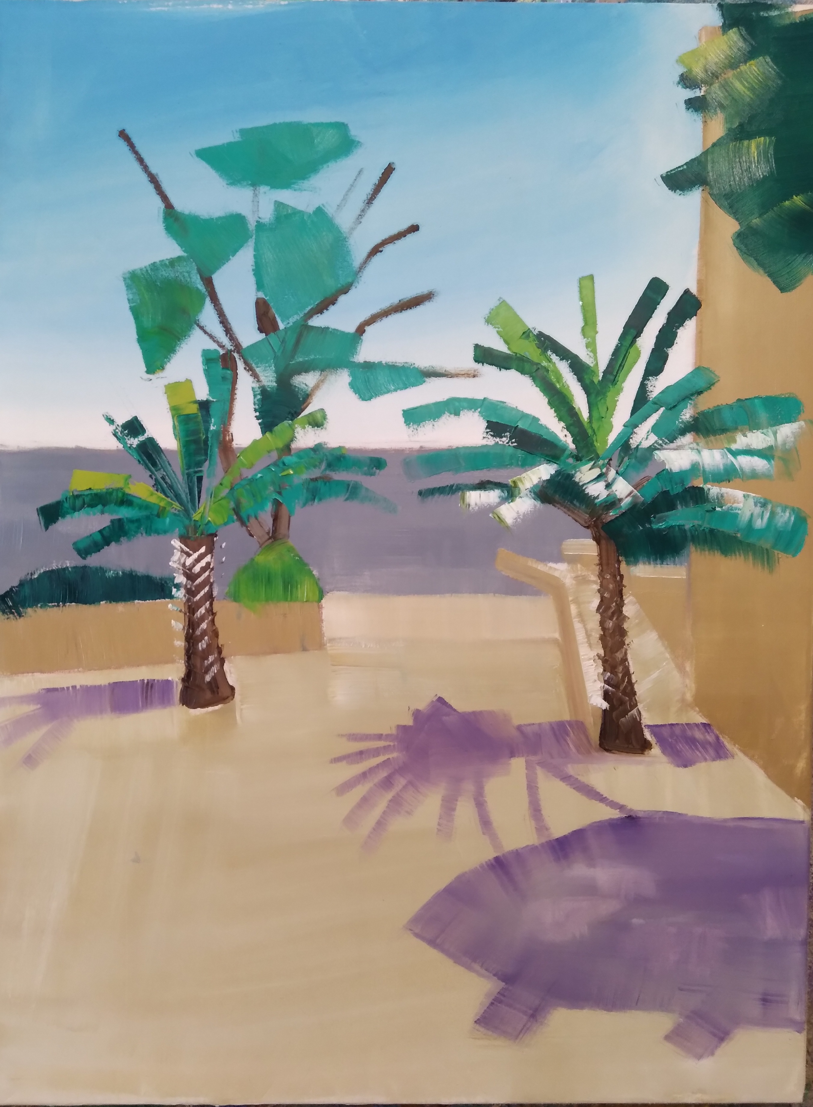 two palm trees